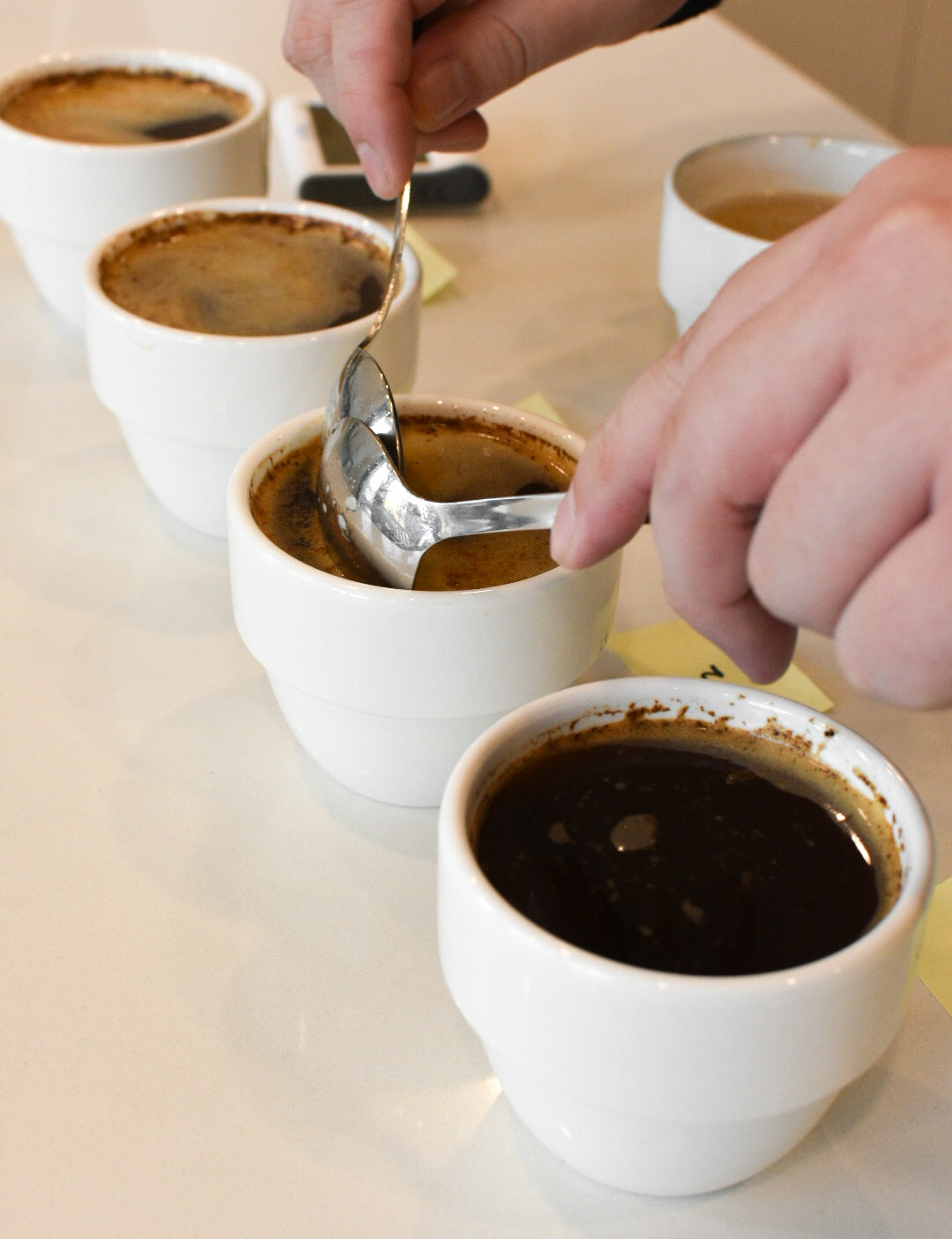 Coffee Cupping 101 - Session 1