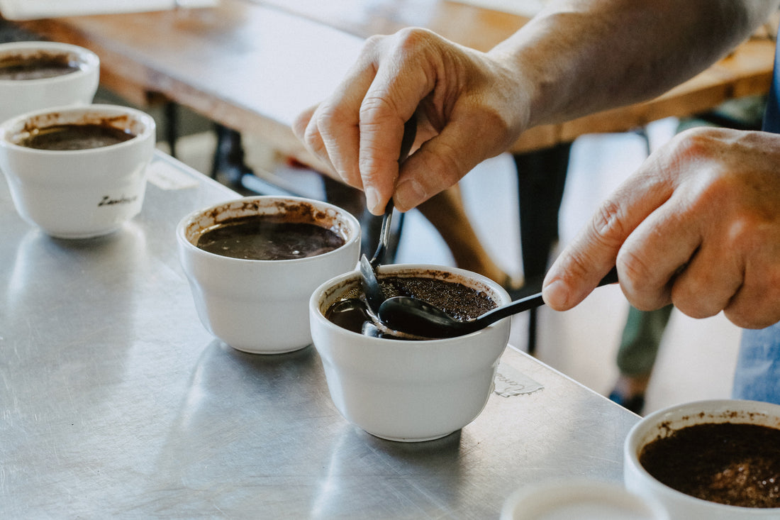 How We Evaluate Our Coffee at Terminal 3