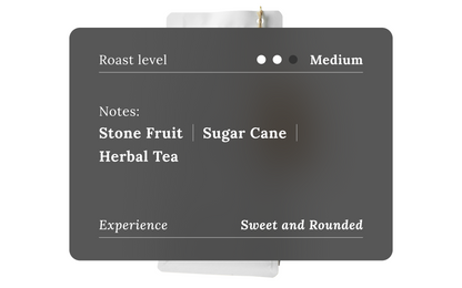 Honduras Marcala Coffee Beans - Terminal 3 Coffee Roasters Toronto