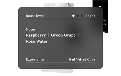 Colombia -  Granja Paraíso 92 Wilton Benitez