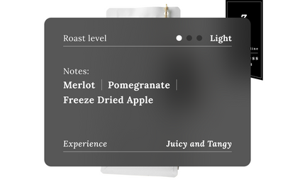 Colombia - Jose Gomez Pink Bourbon