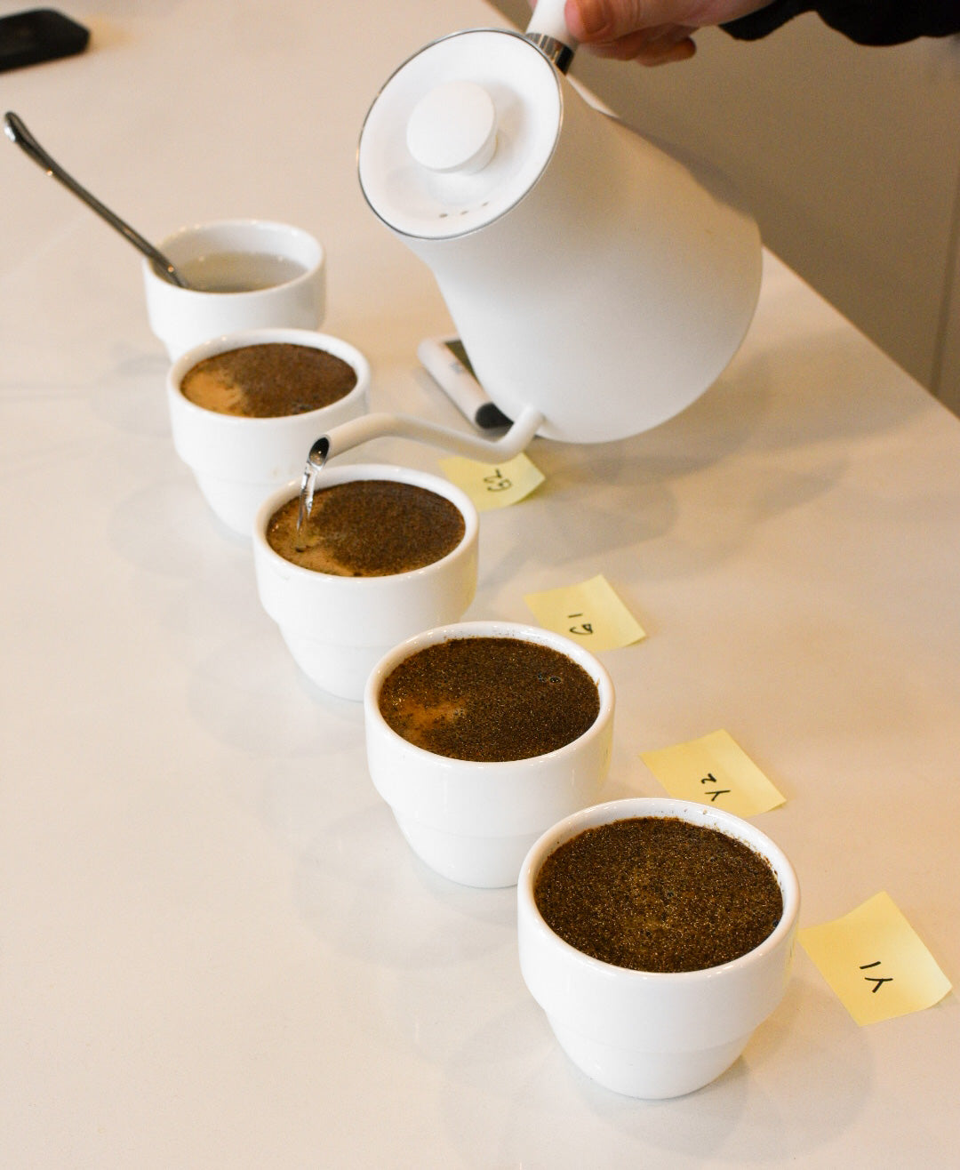 Coffee Cupping 101 - Session 1