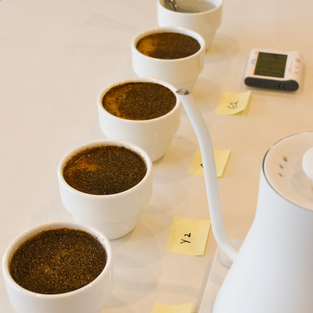Coffee Cupping 101 - Session 1
